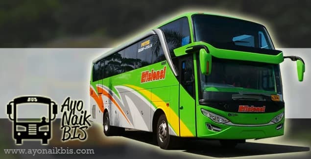 Sejarah PO Efisiensi, Jagoan Lintas Selatan Jawa Tengah