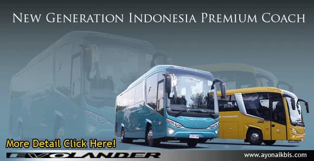 Spesifikasi Evolander Bus Pariwisata