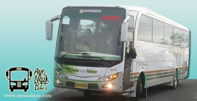 Harga Sewa Bus Pariwisata Scorpion Holidays