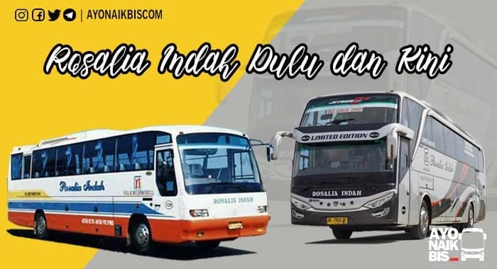 Profil PO. Rosalia Indah Dulu Dan Kini