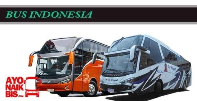 Trend Double Glass Bus Indonesia