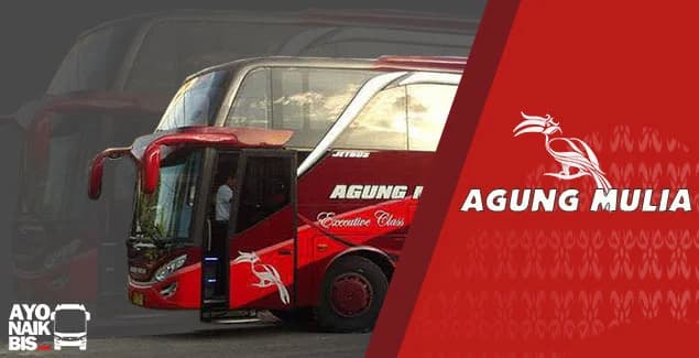 Bus Terbaru Agung Mulia Jetbus Kalimantan
