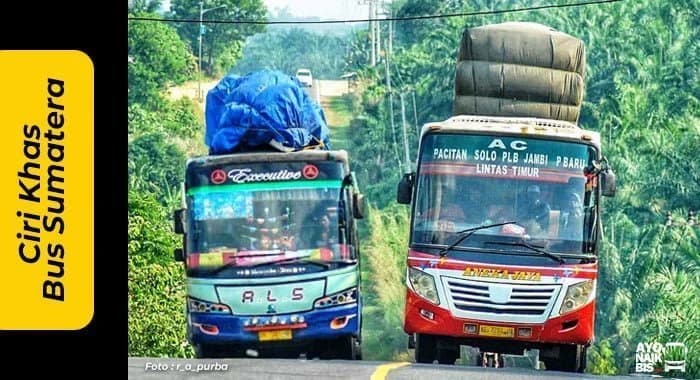 6 Ciri khas Bus Sumatera Yang Wajib Kamu Tau !!!