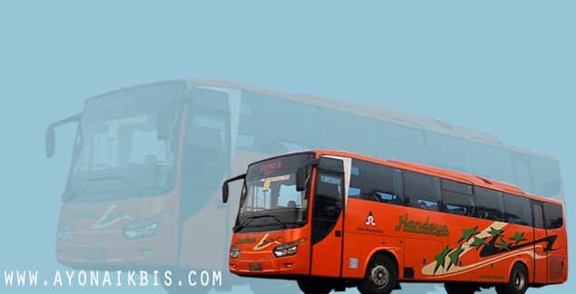 Profile PO Handoyo, Raja Jalanan Dari Lembah Tidar