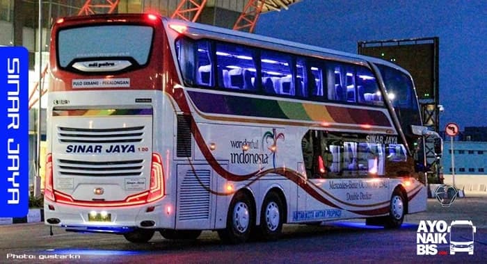Kontak dan Alamat Agen Sinar Jaya Lengkap Terbaru