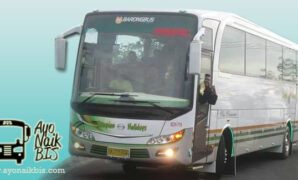 Harga sewa Bus