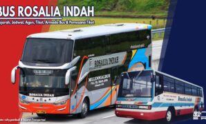 Bus Rosalia Indah