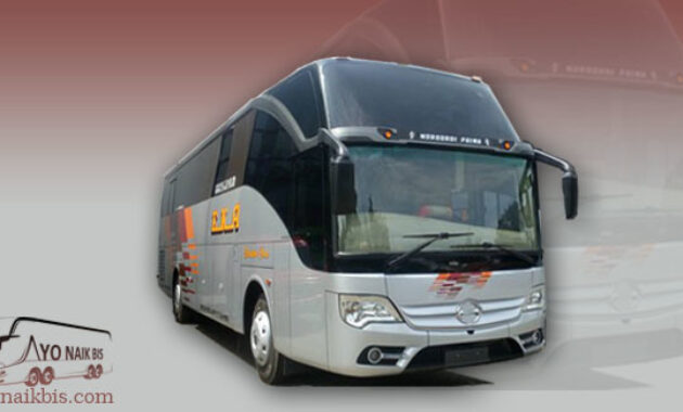 New bus EKA GT 2
