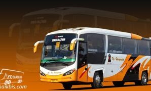 Bus Haryanto