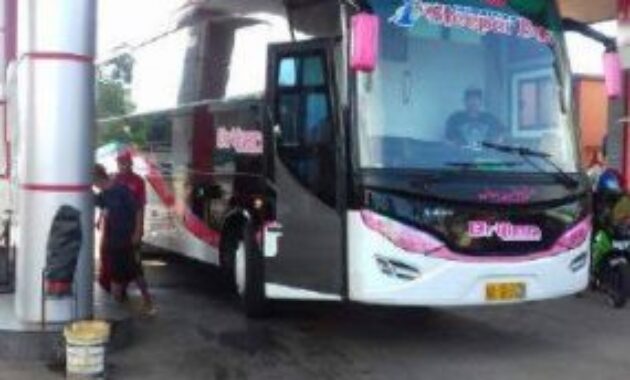 Sleeper Bus Indonesia