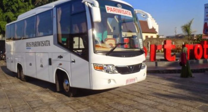 Bus medium Pariwisata Makassar