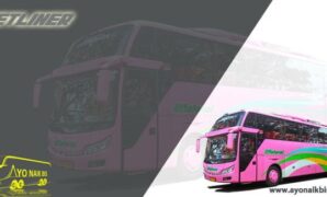 Harga Bus