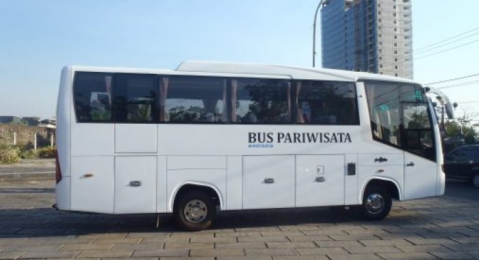 Harga Bus Pariwisata