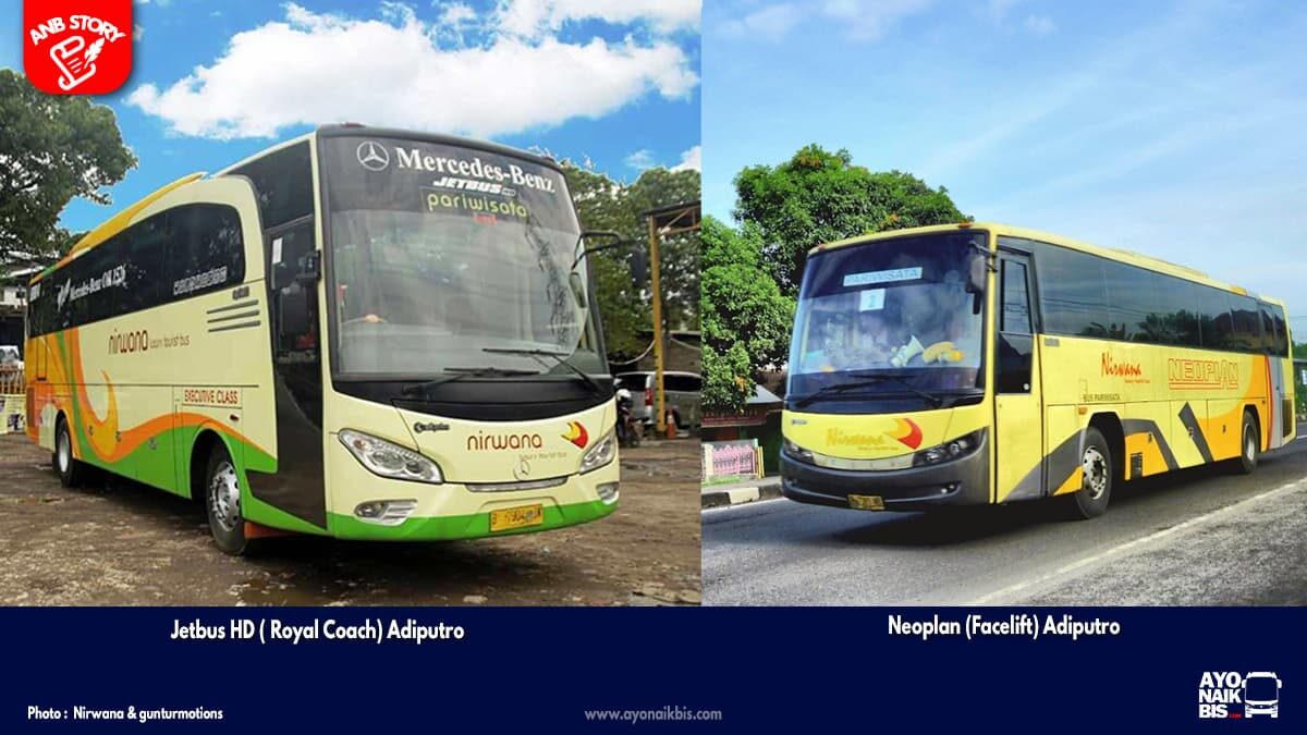 Adi Putro Jetbus HD & Nirwana Bus