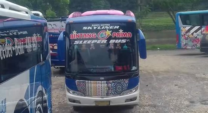Eksterior Bus Sulawesi