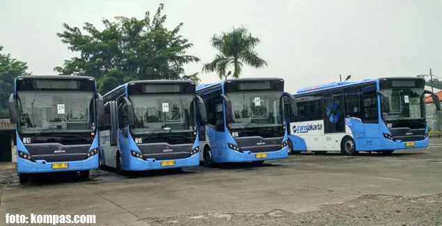 Bus-bus gandeng milik PT Mayasari Bakti yang siap dioperasikan untuk Transjakarta