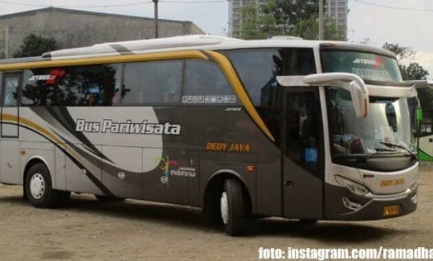 Bus PO Dedy Jaya | foto: @ramadhani2hd