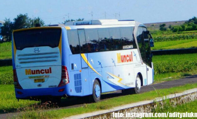 Bus PO Muncul | foto: instagram.com/adityalukman66