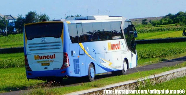 Bus PO Muncul | foto: instagram.com/adityalukman66