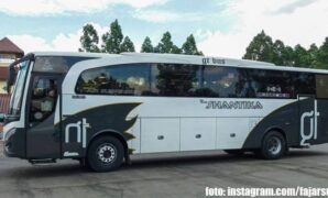 Bus PO New Shantika