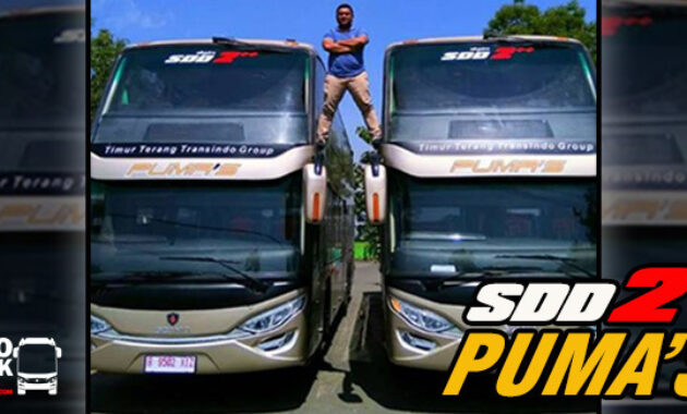 Bus Terbaru Putera Mulya