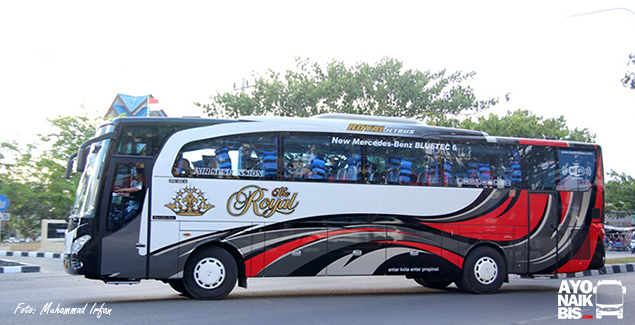 Agen bus The Royal