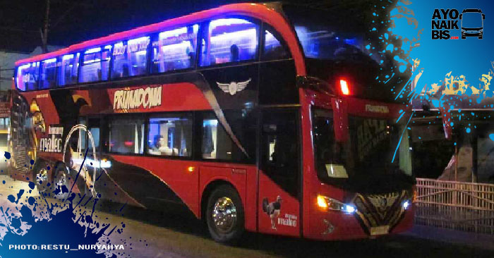 Bus Tingkat Primadona