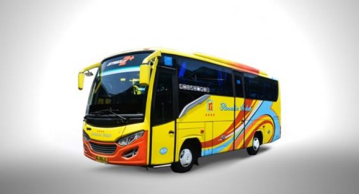 Rosin Microbus