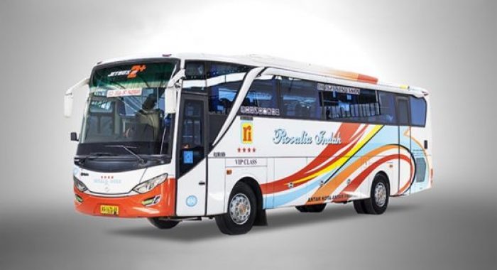 Bus VIP Rosalia Indah