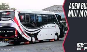 Agen Bus Muji jaya