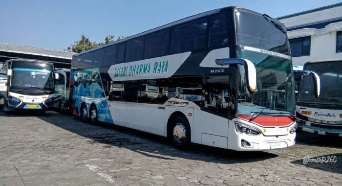 Bus Safari Dharma Raya