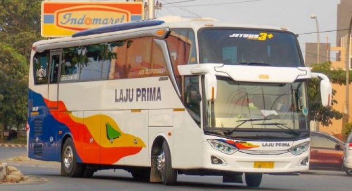 Bus Jetbus 3+