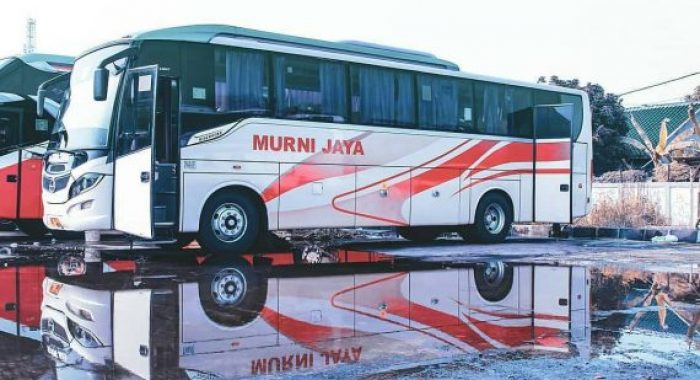 Bus Discovery Murni Jaya
