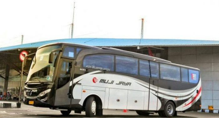 Bus Royal coach