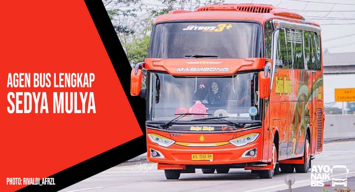 Agen Bus Sedya Mulya