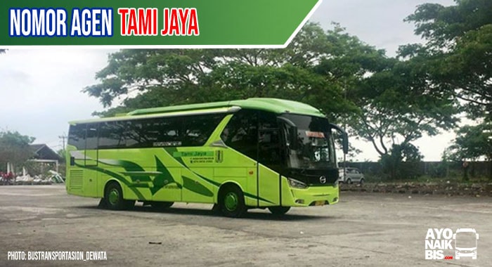 Agen Bus Tami Jaya
