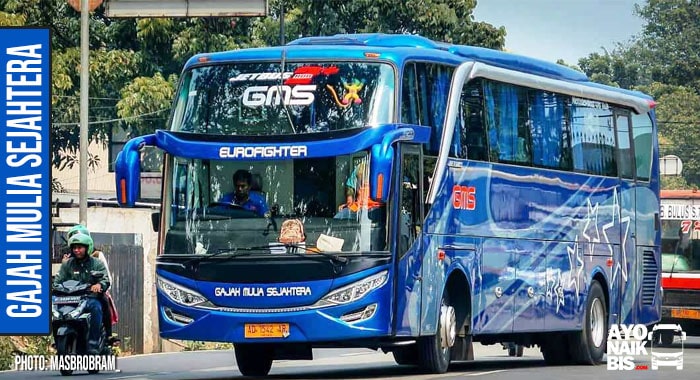 Agen Bus GMS