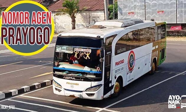 Agen Bus Prayogo