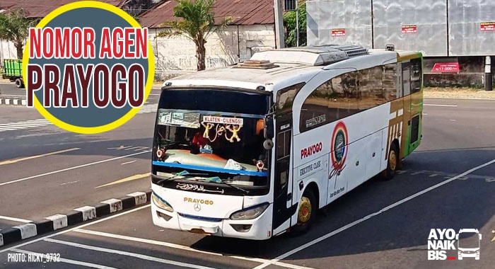 Agen Bus Prayogo