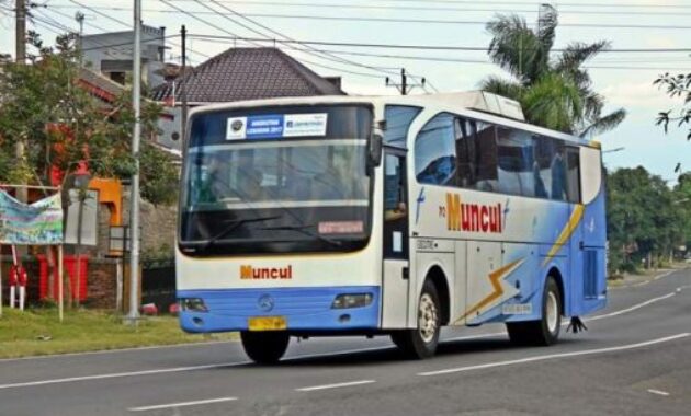 Bus Muncul
