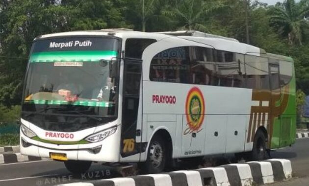 Bus Prayogo