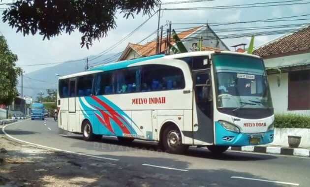 Bus Mulyo Indah