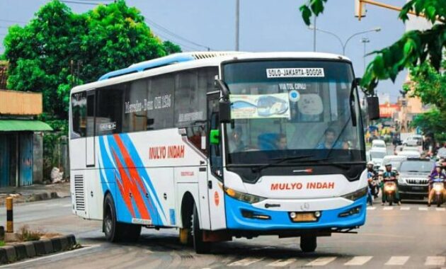 Bus SOLO Bogor