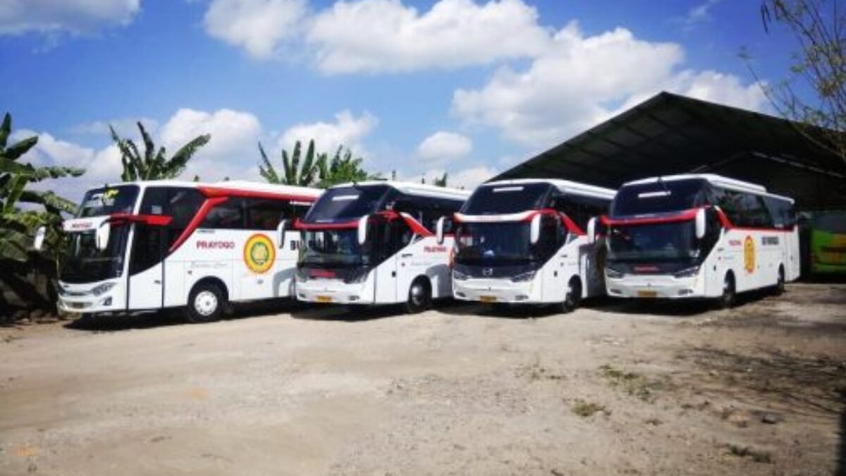 Bus Prayogo Jogja Pekanbaru