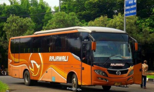 Bus Rajawali Discovery