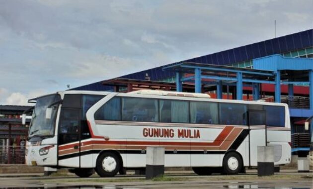 Bus Gunung Mulia