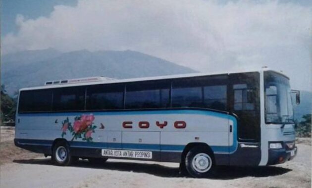 Bus Panorama Laksana PO Coyo