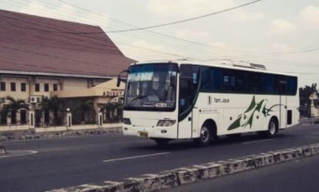 Bus Tami Jaya