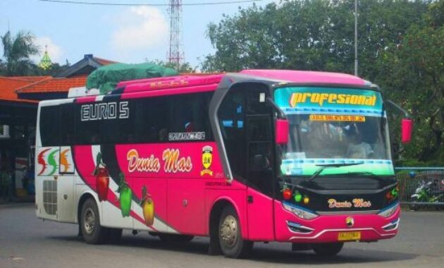 Bus Dunia Mas Legacy SR 1