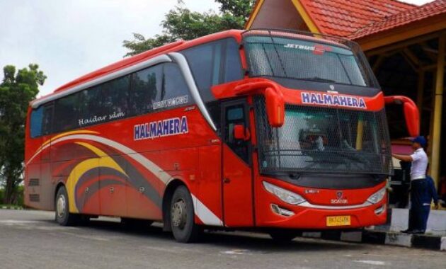 Bus AKAP Halmahera